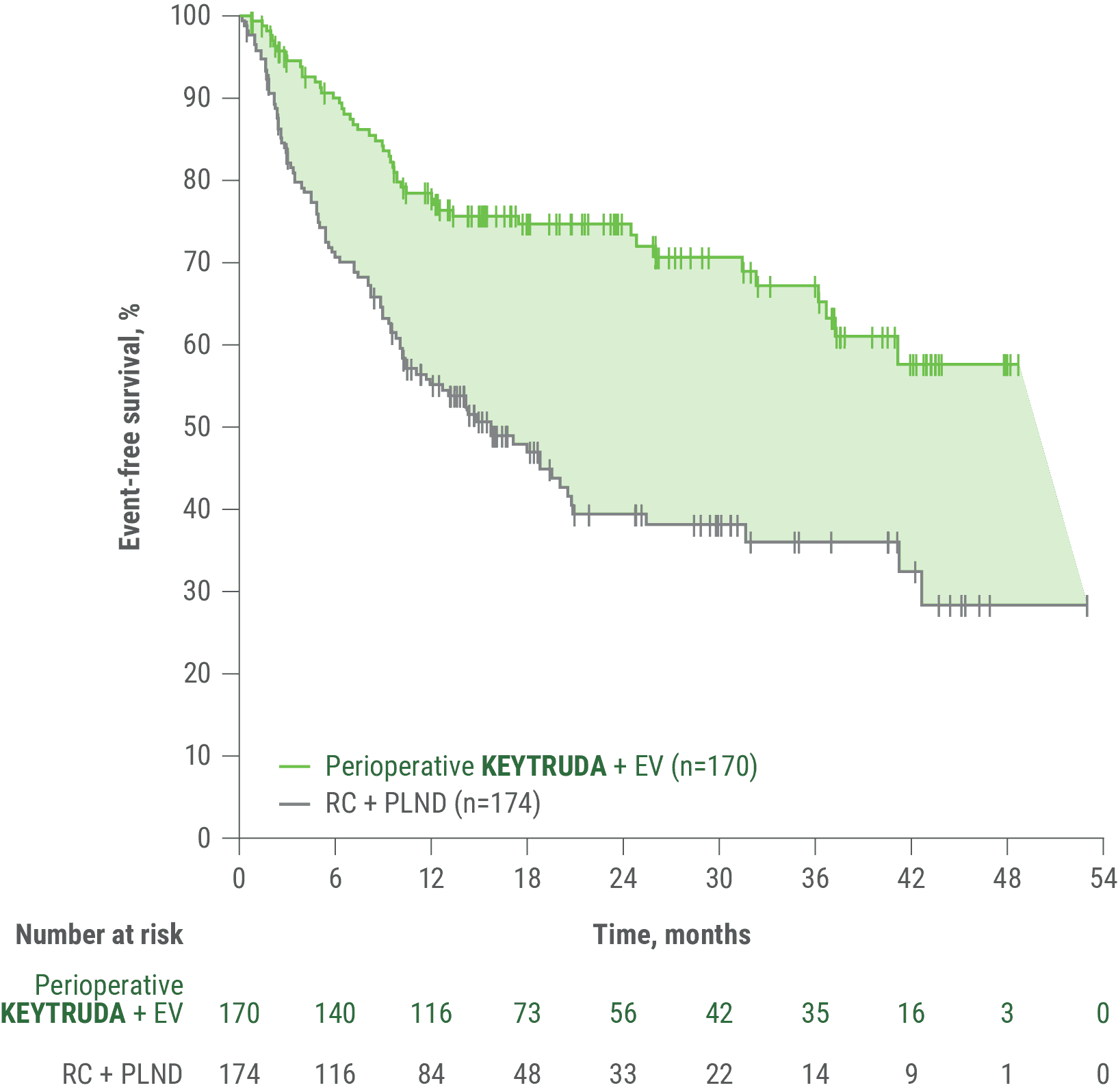Kaplan-Meier Estimates of Event-Free Survival in KEYNOTE-905