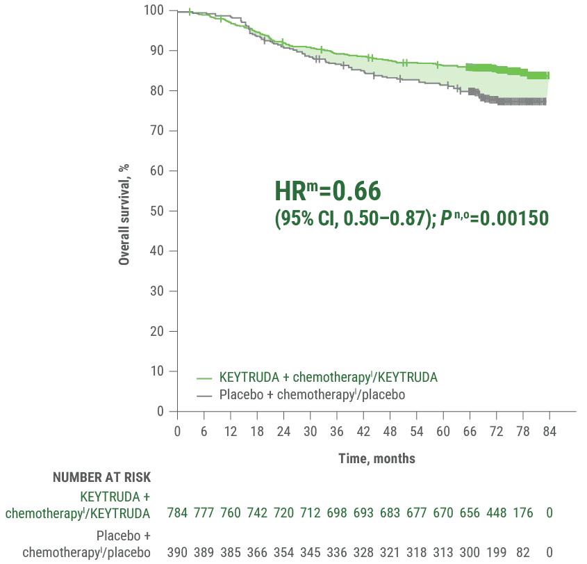 Kaplan-Meier Estimates of Overall Survival in KEYNOTE-522 