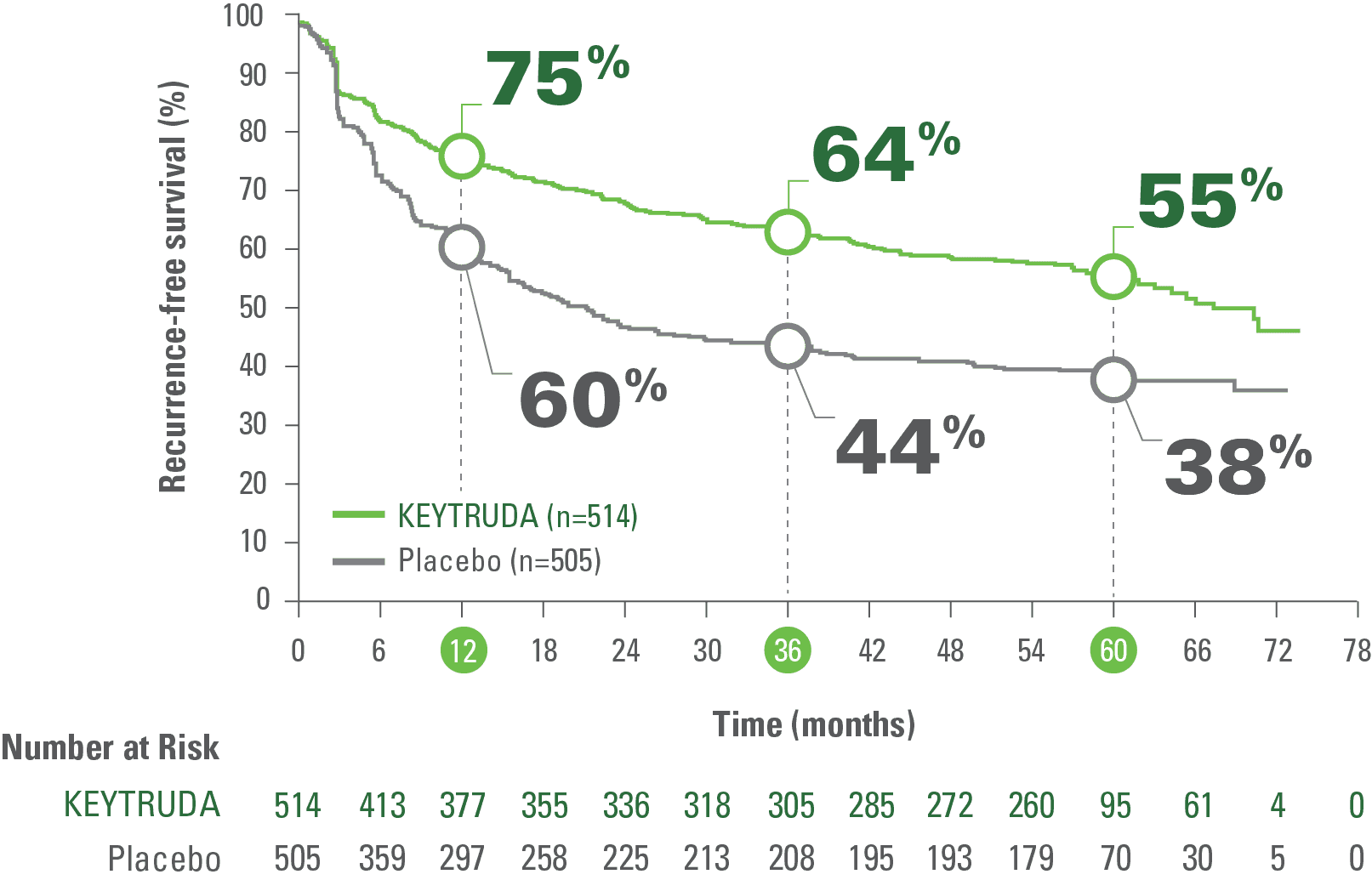 5-Year Recurrence-Free Survival (RFS) Analysis in KEYNOTE⁠-⁠054